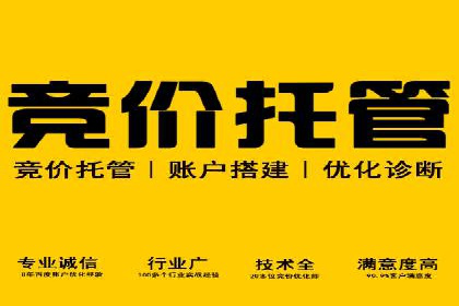 竞价推广开户成本优化策略：成功案例分享