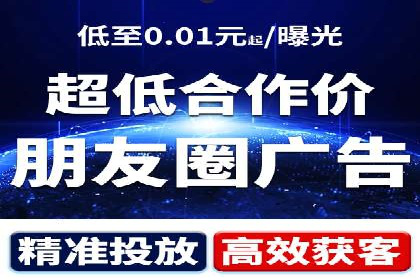 谷歌竞价广告与SEO结合的营销案例解析